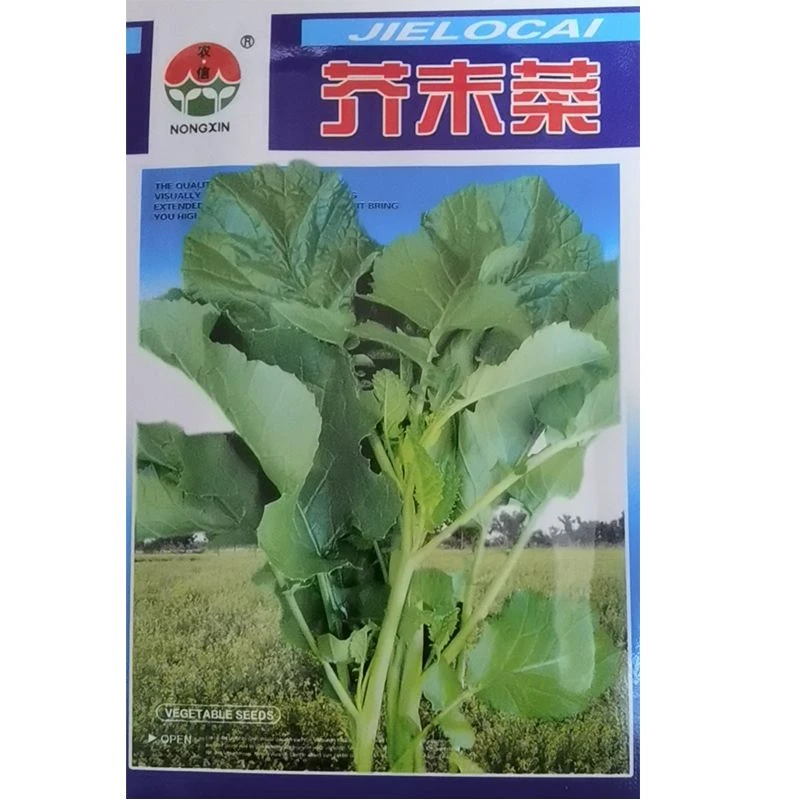 甜芥菜种子四季高产花边芥菜阳台蔬菜种子盆栽易种香港花边青菜叶