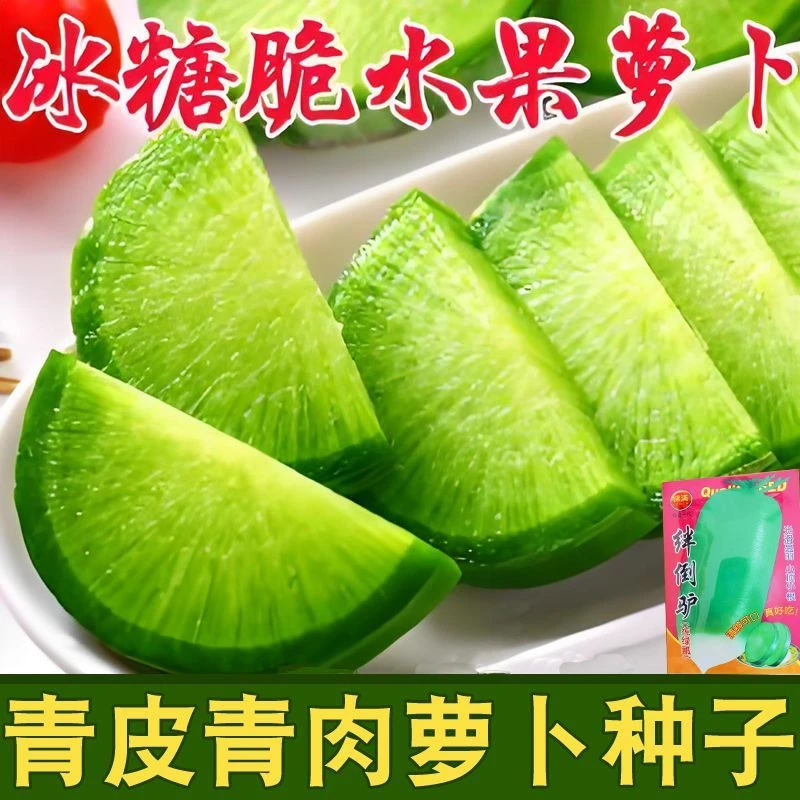 青皮青肉萝卜种子东北大青萝卜籽秋季生吃沙窝甜脆绿萝卜蔬菜种籽