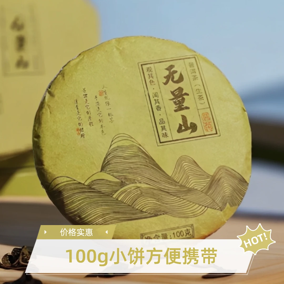 云南勐海茶区无量山生普高品质古树原料普洱生茶100g小饼方便好喝