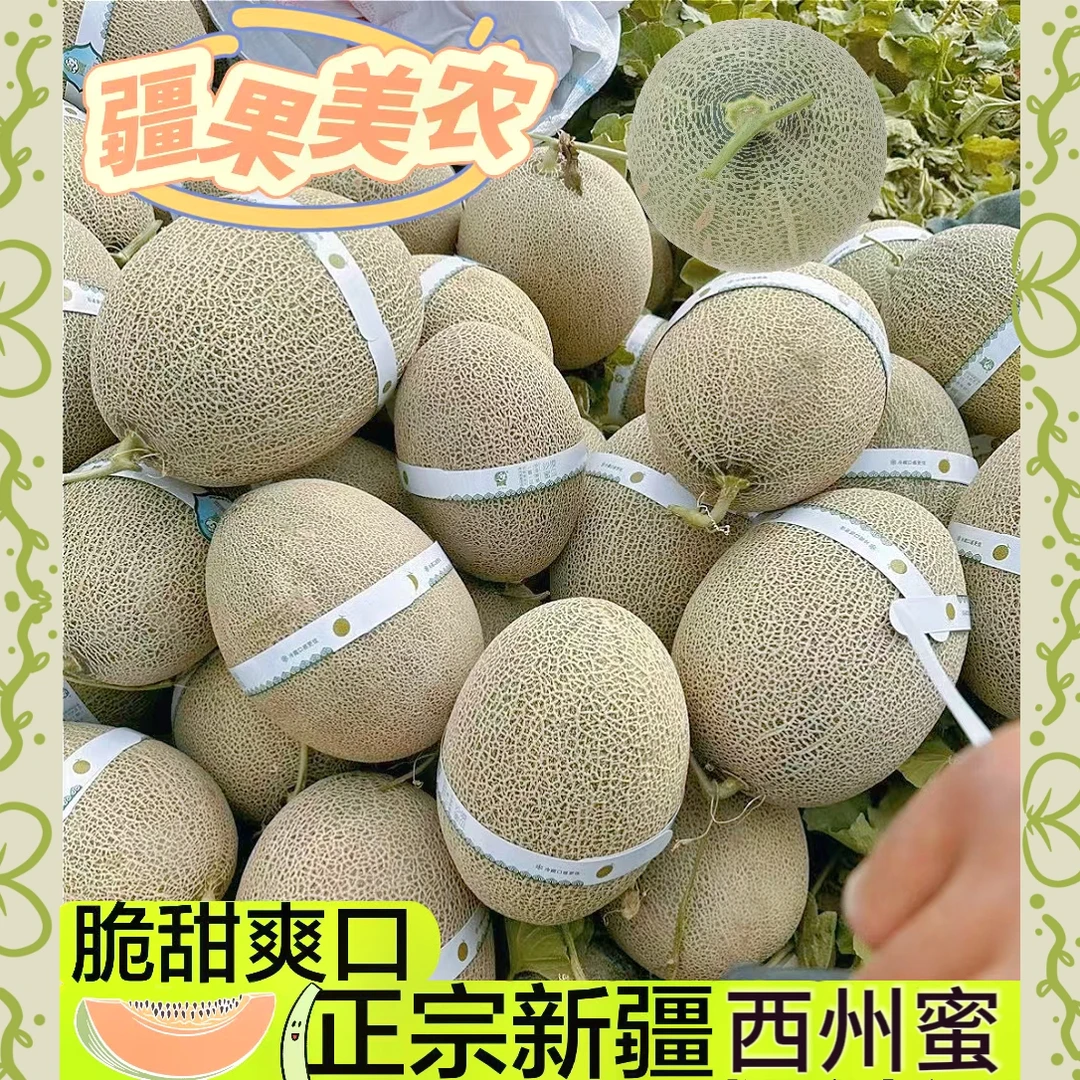 正宗新疆哈密瓜甜蜜爽口脆甜