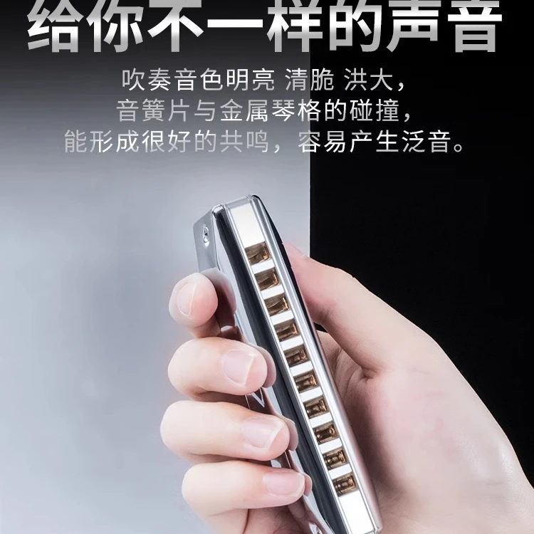 JDR专业演奏级布鲁斯口琴十孔木质蓝调口琴10孔成人初学者学生C调