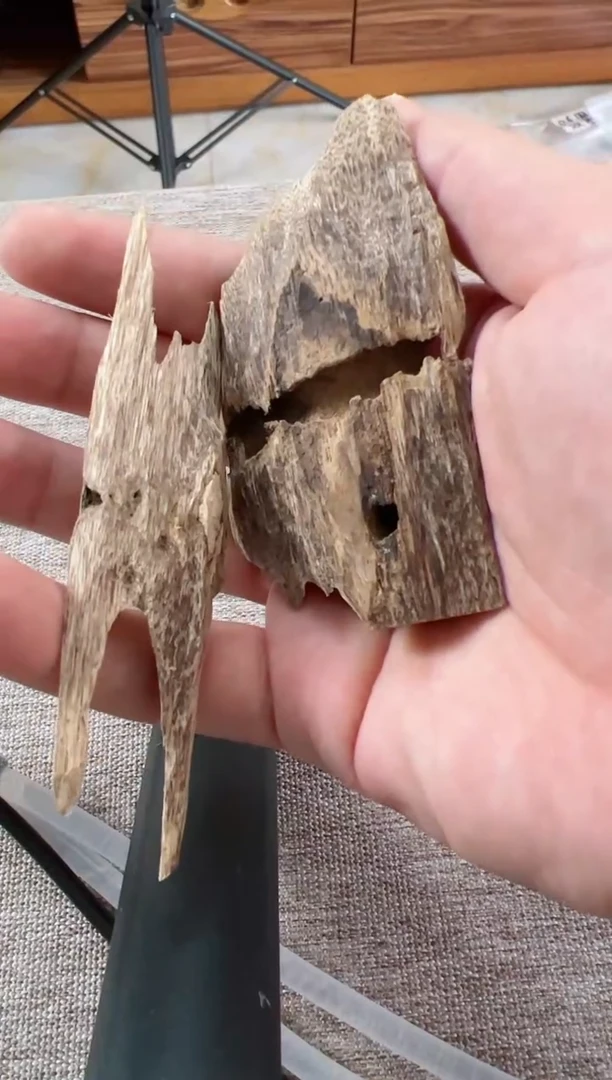 【闪购商品】沉香虫漏块10g