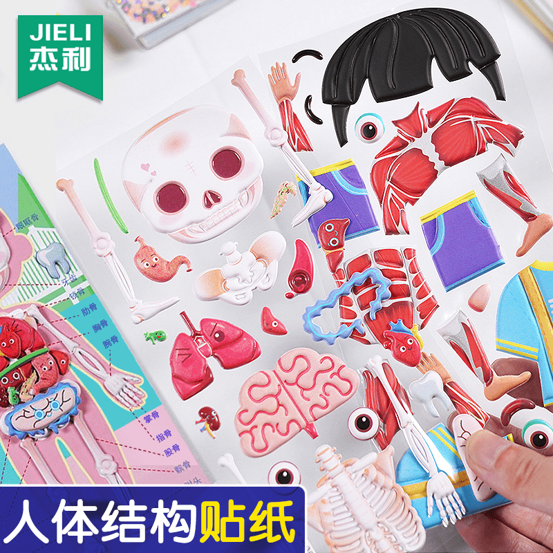 杰利我的身体益智3d立体泡棉贴幼儿宝宝五官器官骨骼认知贴纸贴画