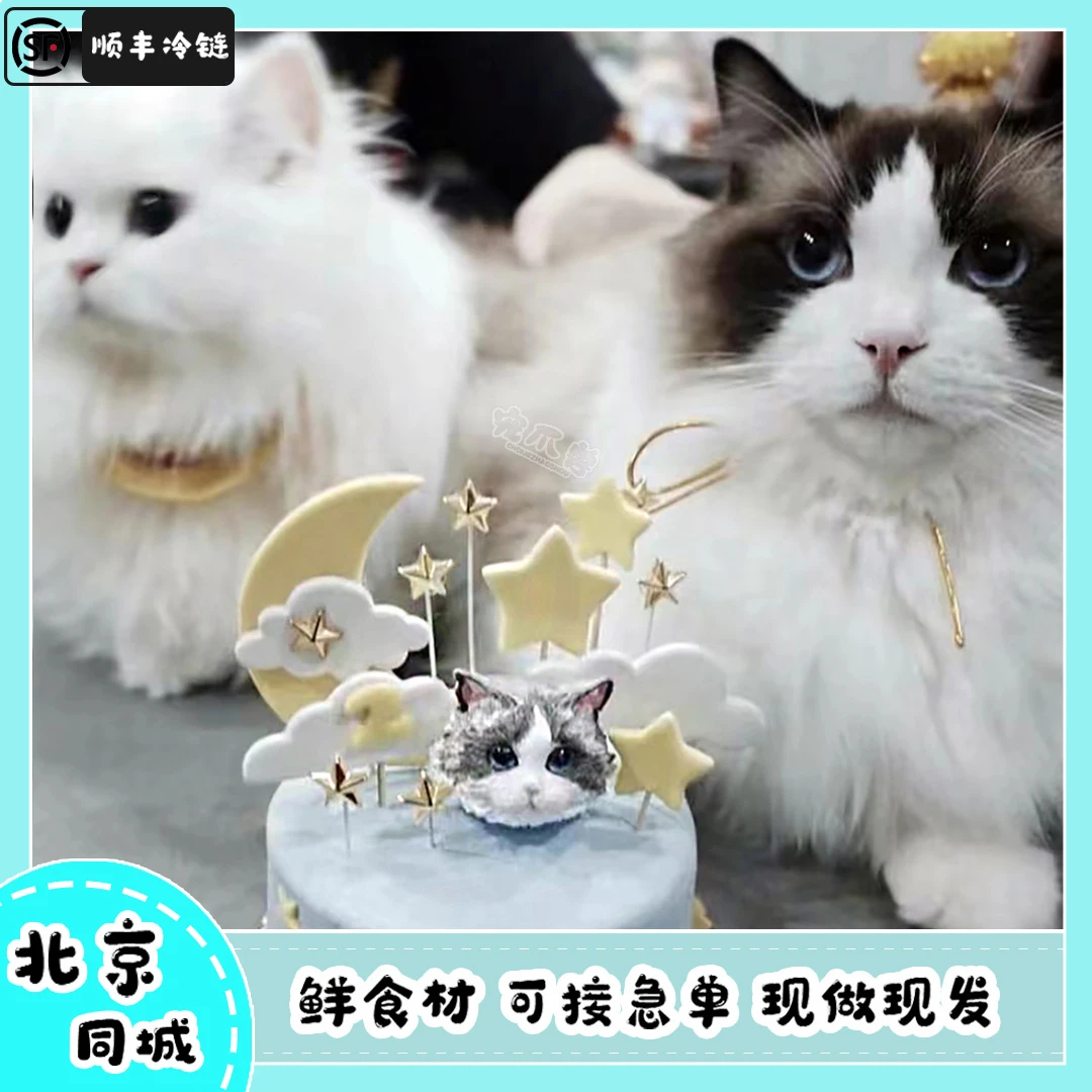 北京同城宠物生日蛋糕狗狗猫咪可食用定制蛋糕营养无添加手工零食