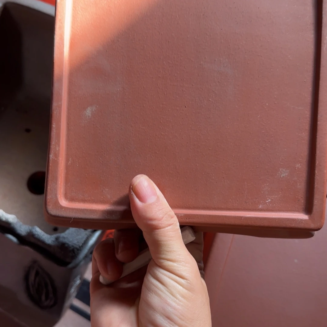 红陶20CM（含）-50CM（不含）快**鱼福利秒杀