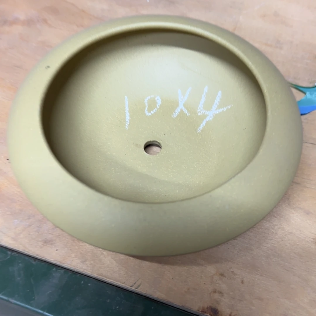 红陶20CM（含）-50CM（不含）福利秒杀