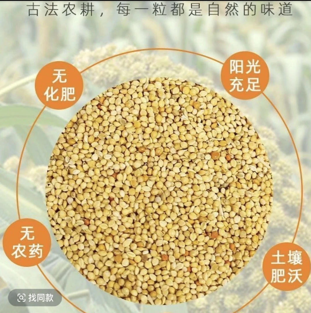 鹦鹉专用鸟粮混合粮