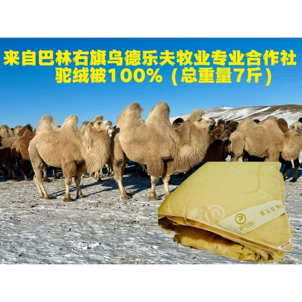 驼绒被100%总重量7斤200×230来自巴林右旗乌德乐夫牧业专业合作社