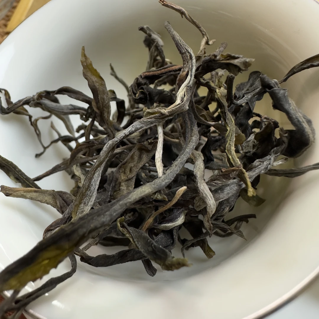 2023年云南版纳易武倚邦头春猫耳朵古树普洱生茶100克