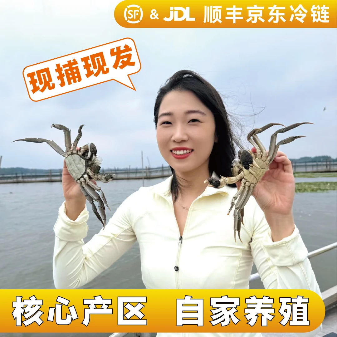 【送四只】3.6两-3.3两母蟹兴化红膏大闸蟹黄饱满顺丰京东8/10只