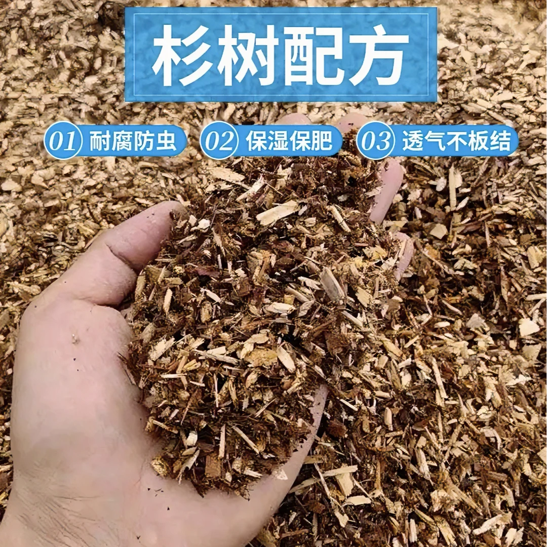 超值种植兰花专业纯衫木屑透气保湿