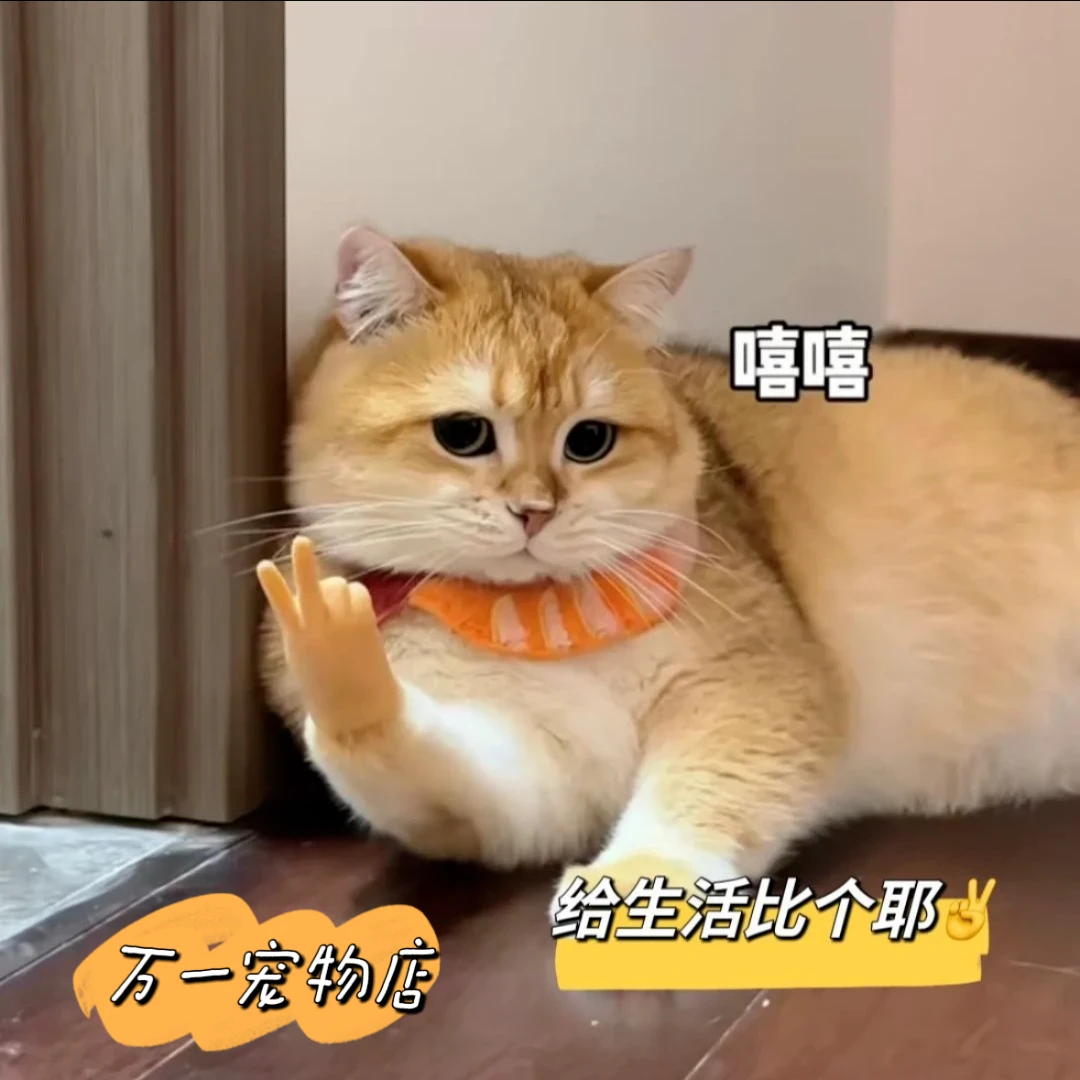 【猫咪可带】逗猫小手拉伸软塑料拉伸仿真小手搞怪可爱逗趣整蛊玩具