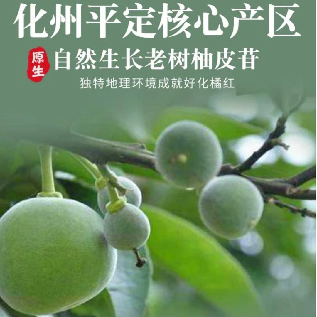 橘盛橘化州橘红鲜果新鲜采摘