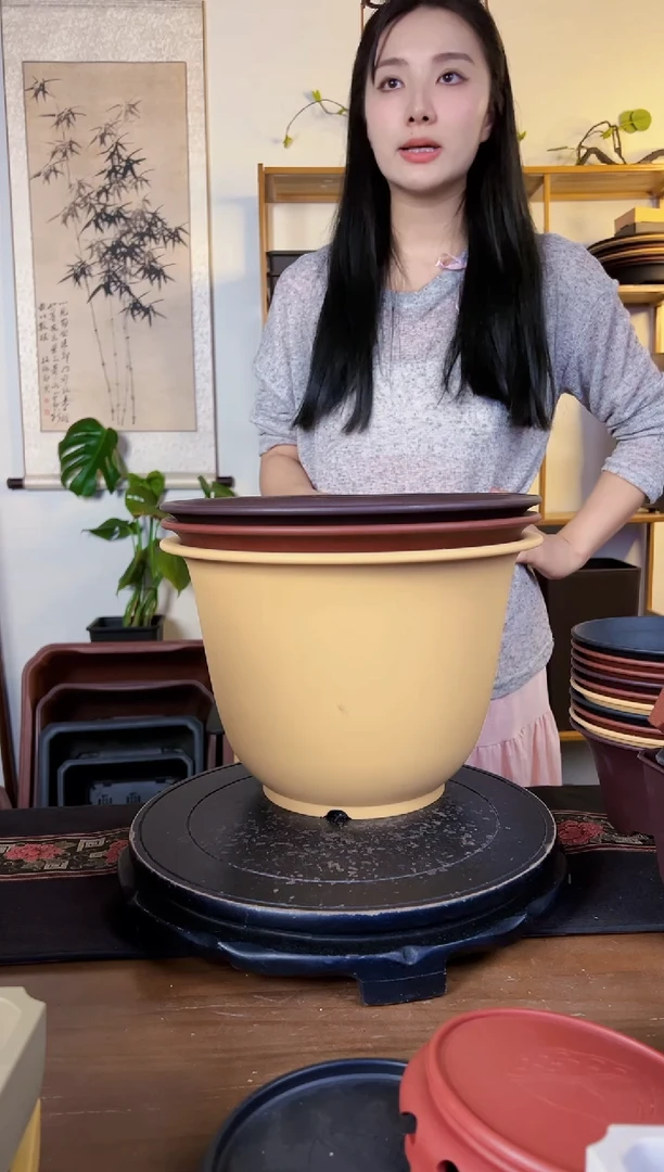 【闪购商品】树脂20CM以下5只金钟30*20口径