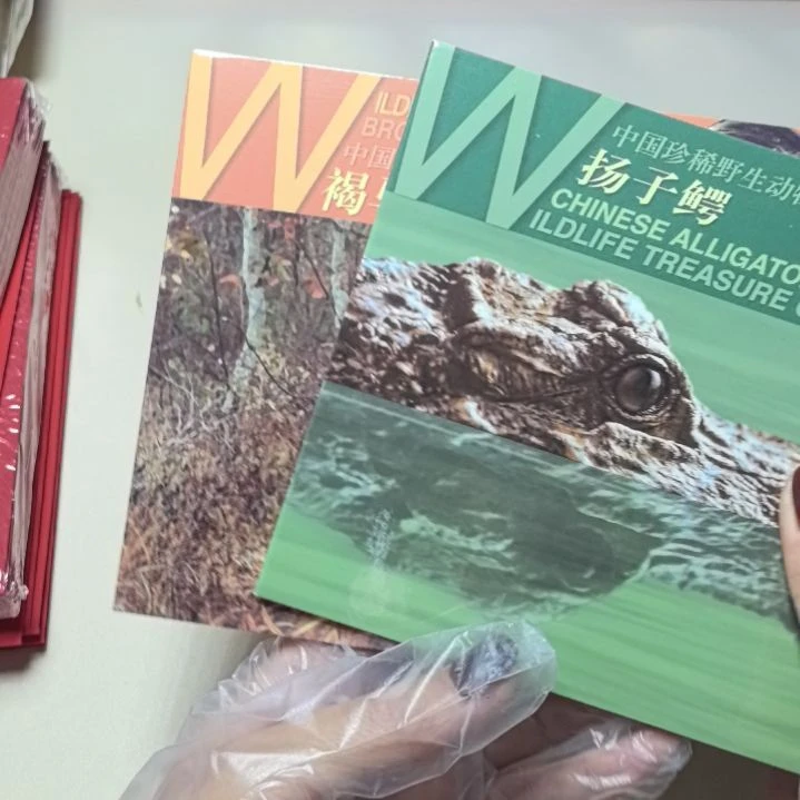 【闪购商品】铜鸡鳄卡册