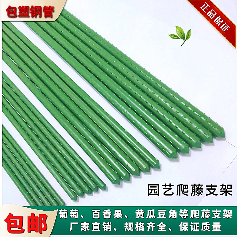 爬藤架黄瓜架丝瓜豆角蔬菜架植物竹竿支撑杆包塑钢管院子菜园支架