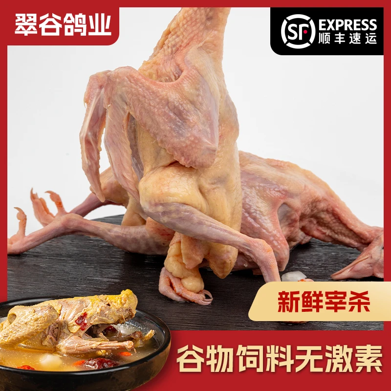 乳鸽1 只6两+新鲜现杀谷物喂养鲜嫩营养乳鸽顺丰速运煲汤烧烤