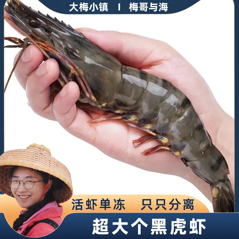 鲜活速冻大规格黑虎虾老虎虾黑金刚一盒400g每盒5-6只发三盒