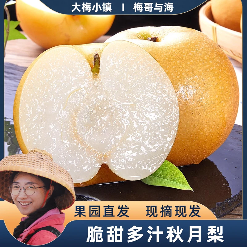 大梅小镇果园直发秋月梨规格一箱4.5斤左右大果脆甜多汁
