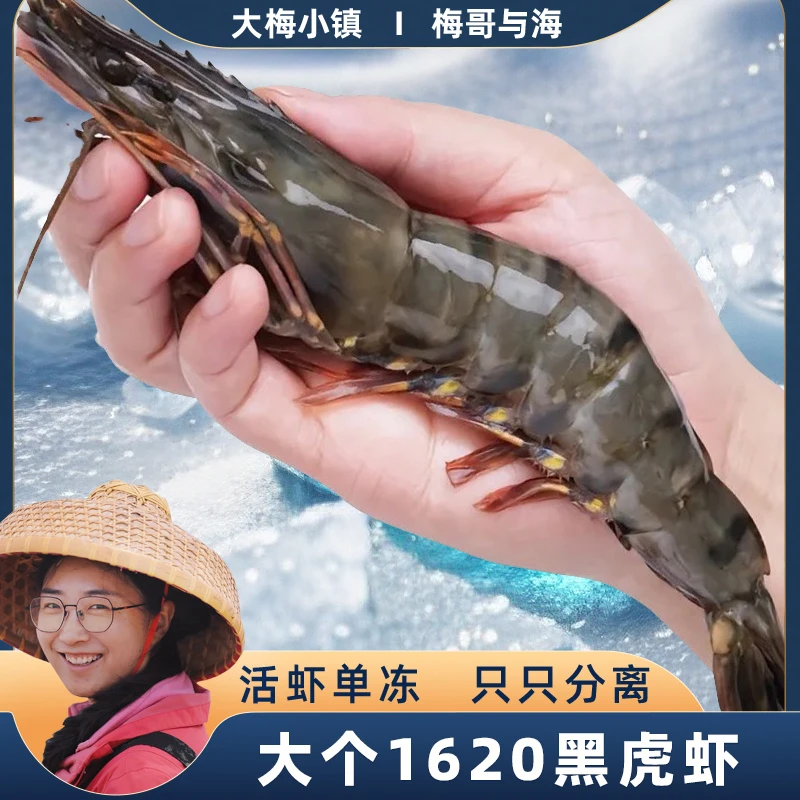 优选鲜活速冻1620规格黑虎虾一斤8-10只一盒3斤单只冻大个老虎虾