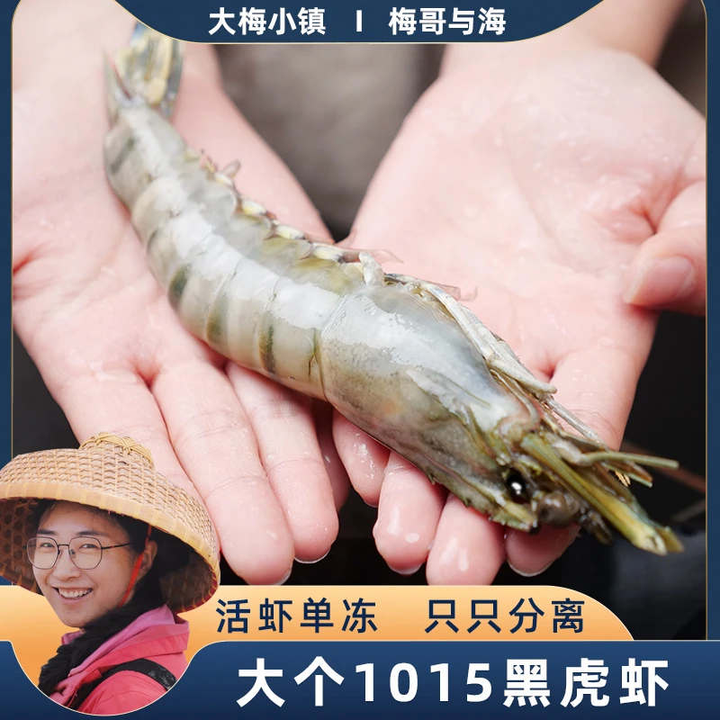 鲜活速冻1015黑虎虾一斤5-8只左右一盒3斤含保护冰大个黑虎虾