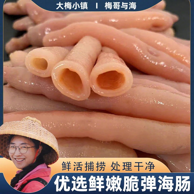 大梅小镇精选海肠去除内脏新鲜速冻一包200g*4包鲜美脆弹回味鲜香