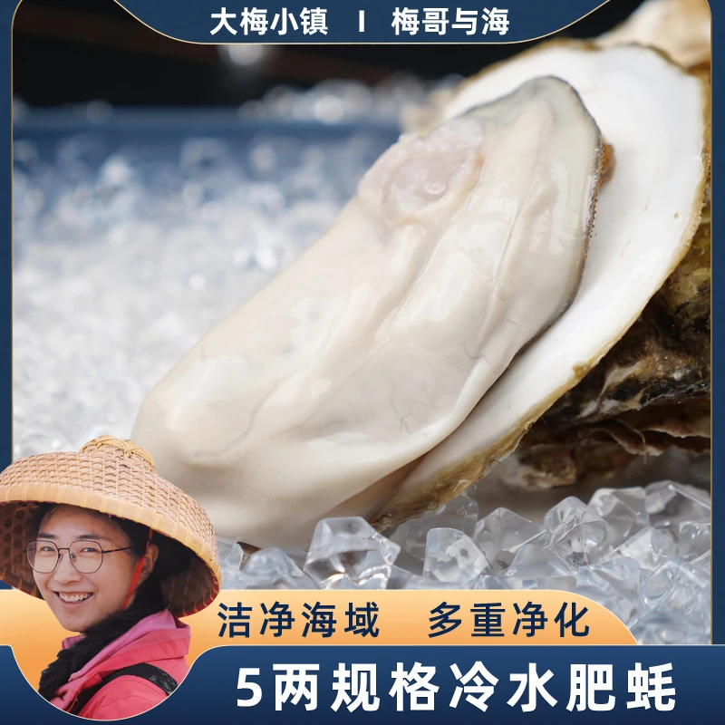 大梅小镇精选鲜活肥美5两规格左右8斤生蚝饱满鲜嫩 每斤2只左右