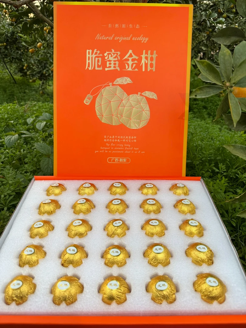 【金箔纸包装】广西融安第三代脆蜜金柑/顺丰