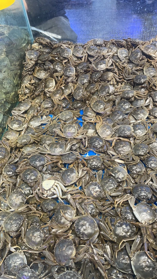 河蟹1.5两母3斤