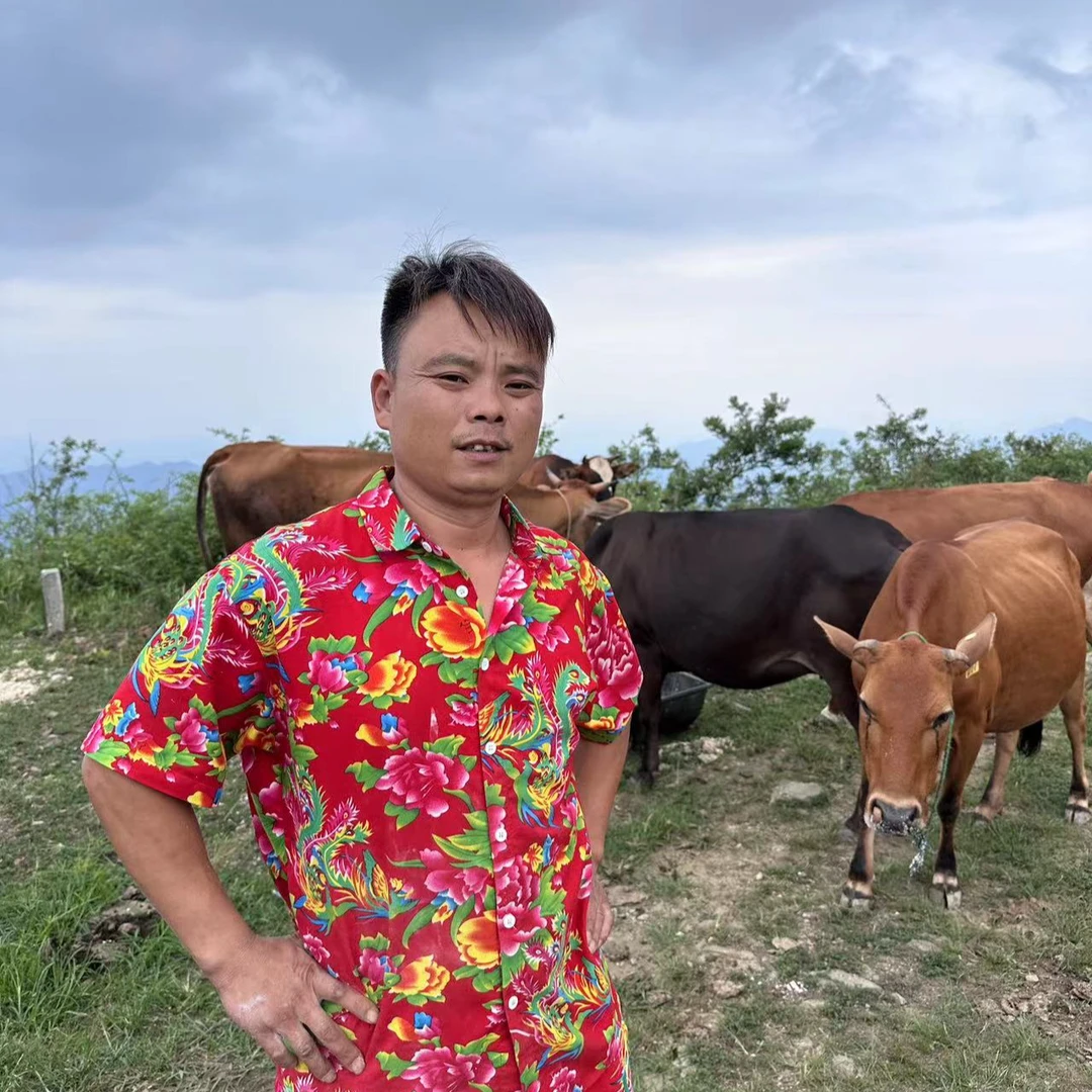 新鲜正宗现切草饲生牛排 农家散养低脂0添加去骨整块牛腩【不注水】