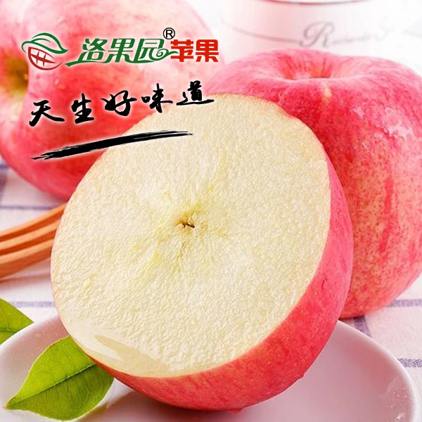 洛果园果业12枚，高品质，原生态，有机种植，洛川苹果，口感保证，精选