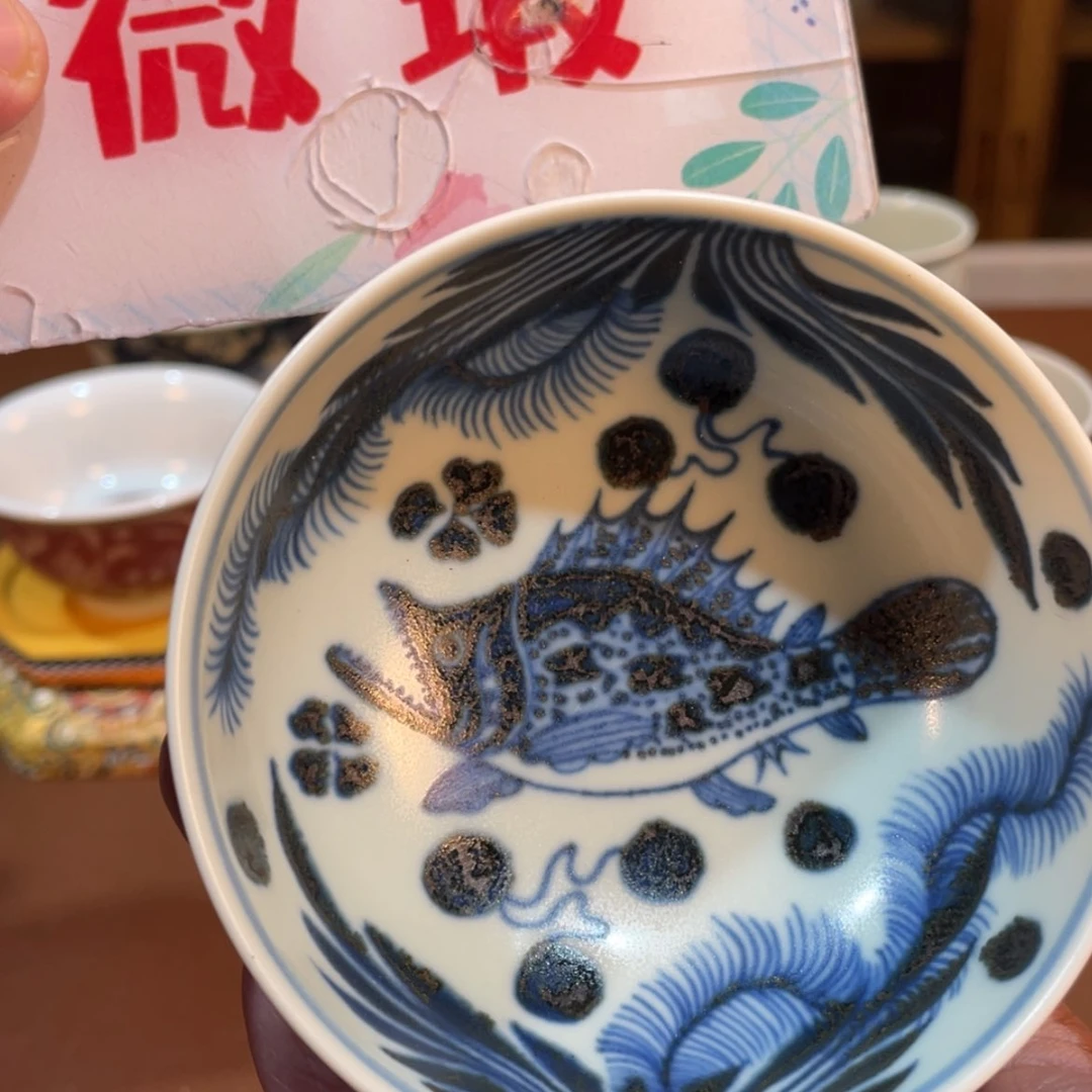 【闪购商品】瓷杯新号开播福利来啦