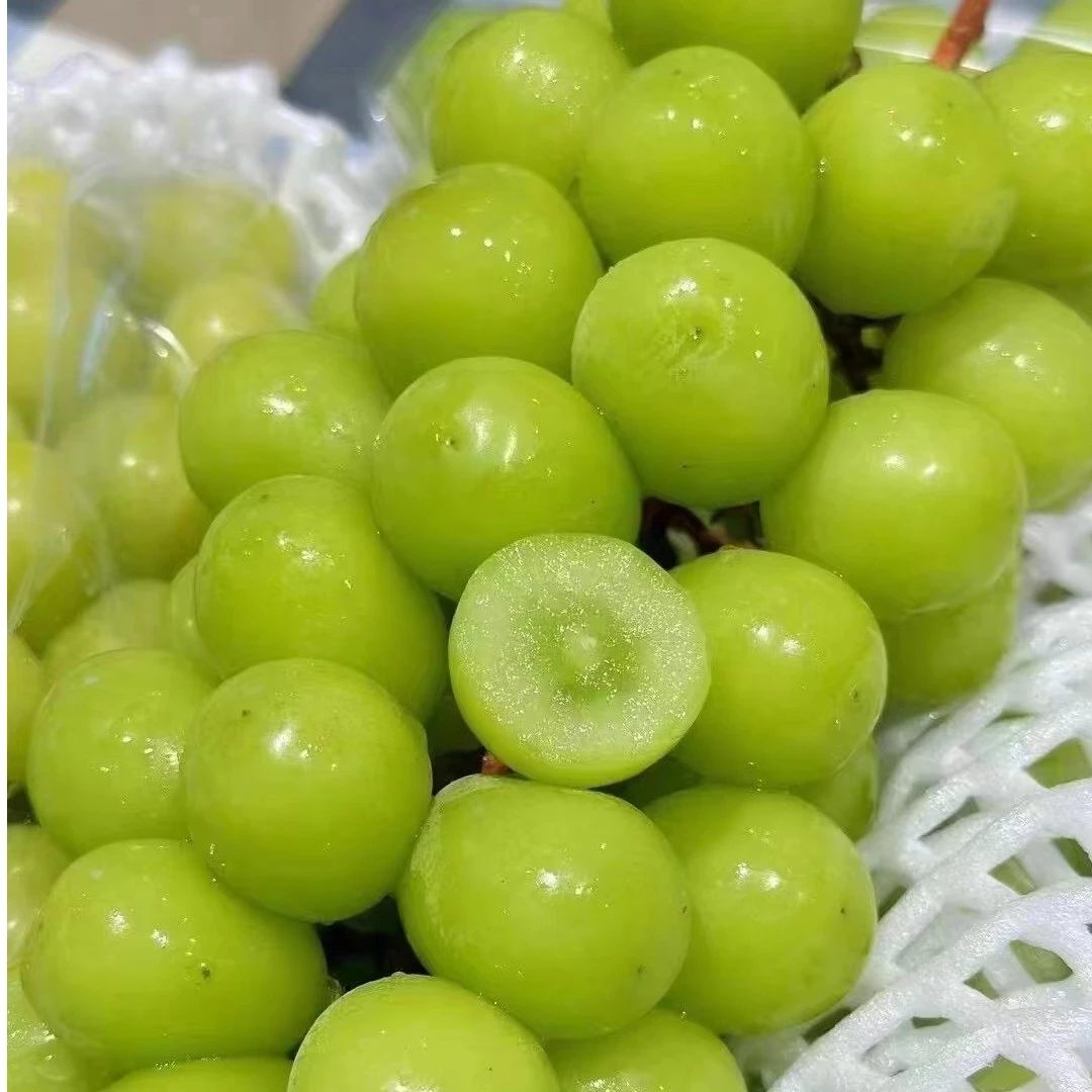 精品阳光玫瑰福利特惠1000g新鲜阳光玫瑰