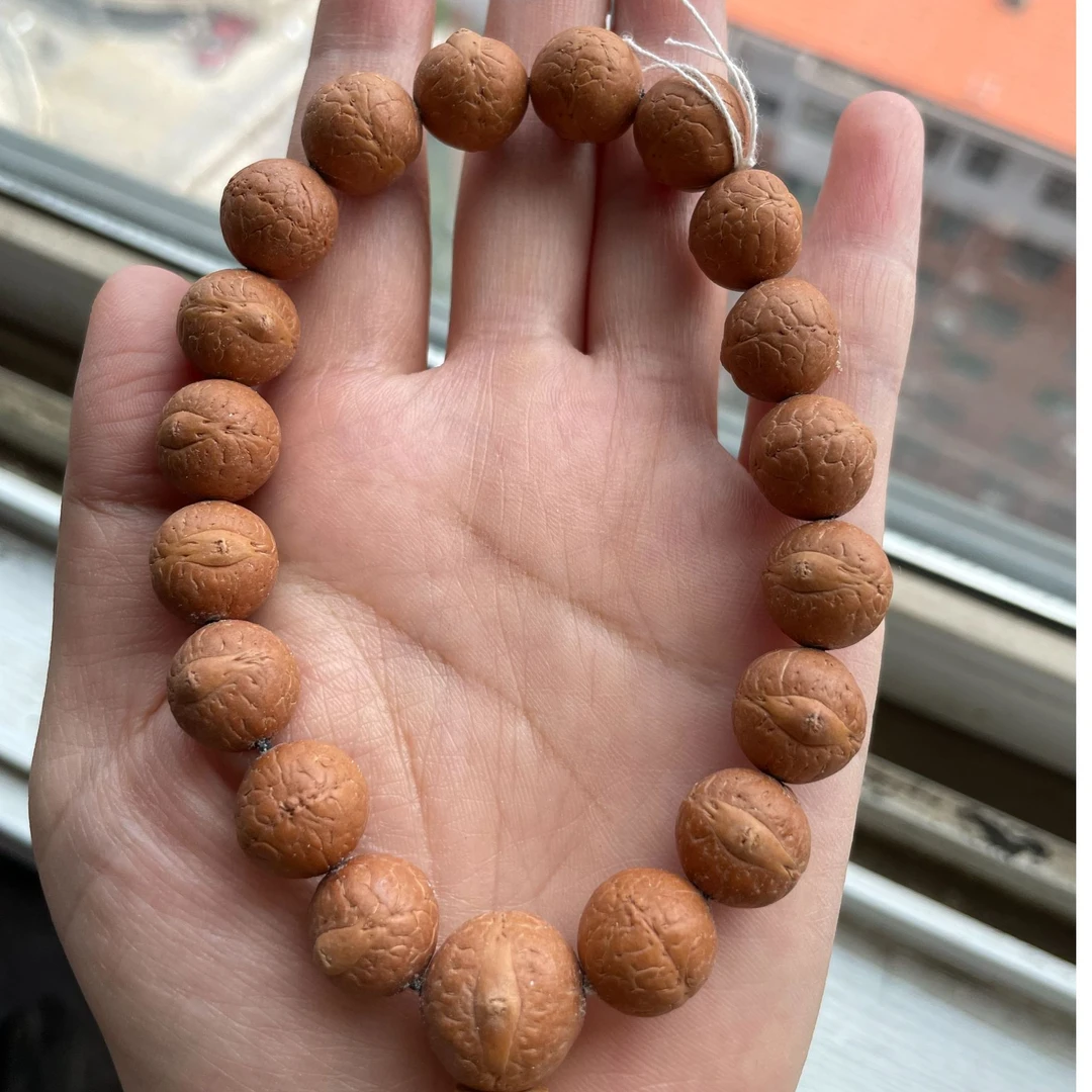 尼泊尔凤眼菩提13mm，13.5mm