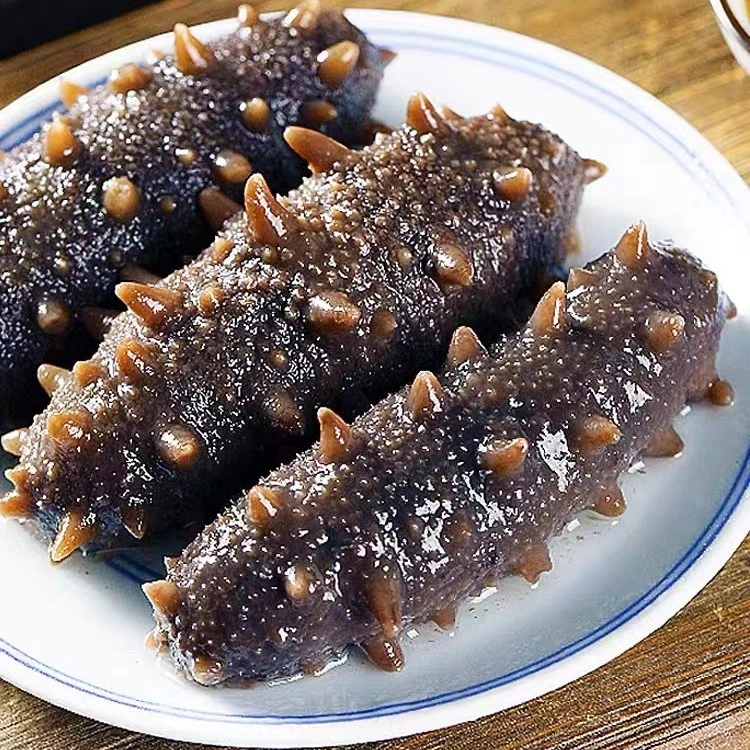 A.木大姐专属 连云港发货鲜食海参到手3斤（6只/斤）+礼盒