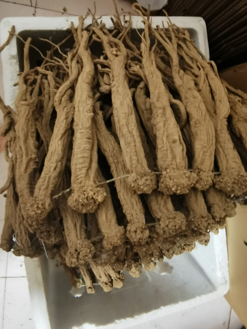 【老党参】 甘肃岷县老党参特大条 煲汤 炖肉 泡水 含量丰富