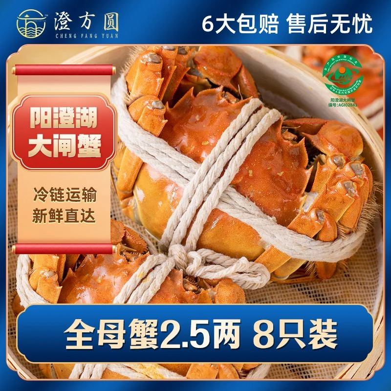 【活蟹】阳澄湖大闸蟹全母2.5两8只精品礼盒装塘养