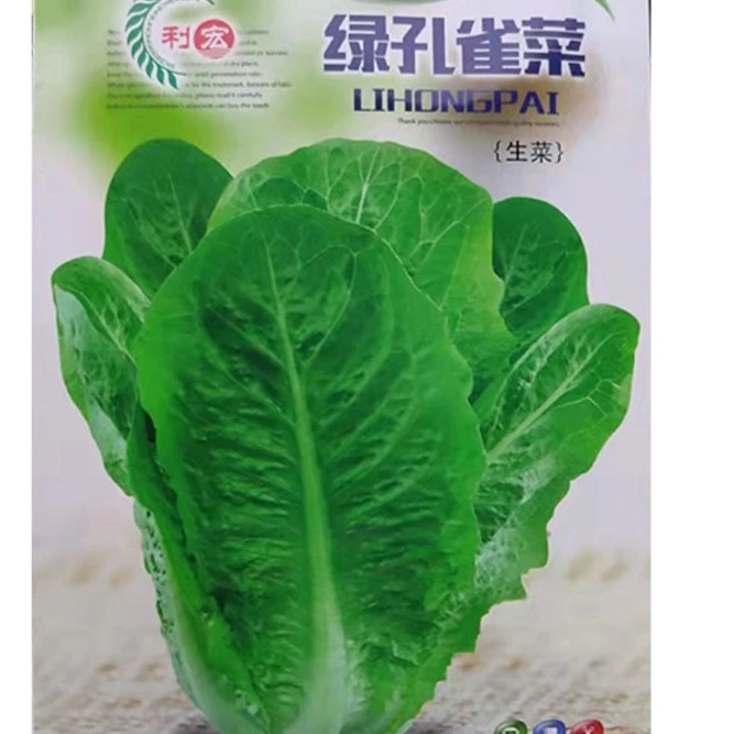 【苞出芽】孔雀菜种子四季种生吃脆甜高营养直立生菜种秋冬播种育苗