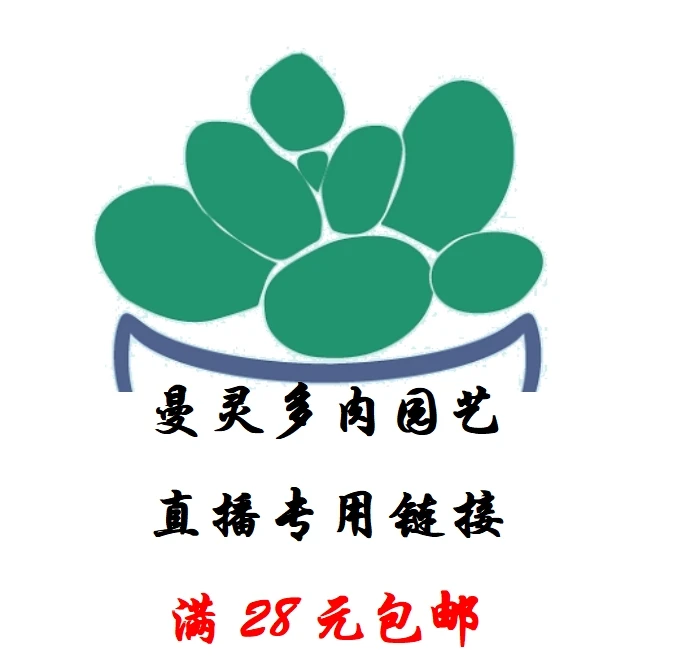10月31日（1501-1524）3-5cm精控多肉脱土裸根发货