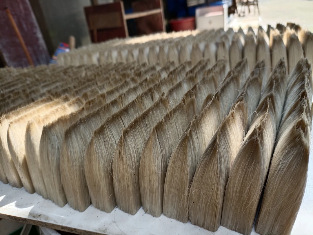 毛笔链接通用链接N号