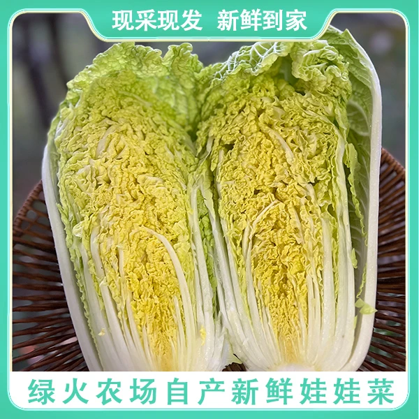 【3-4颗绿火自产新鲜娃娃菜】现拔现发/新鲜采摘/包邮到家/4-4.5斤装