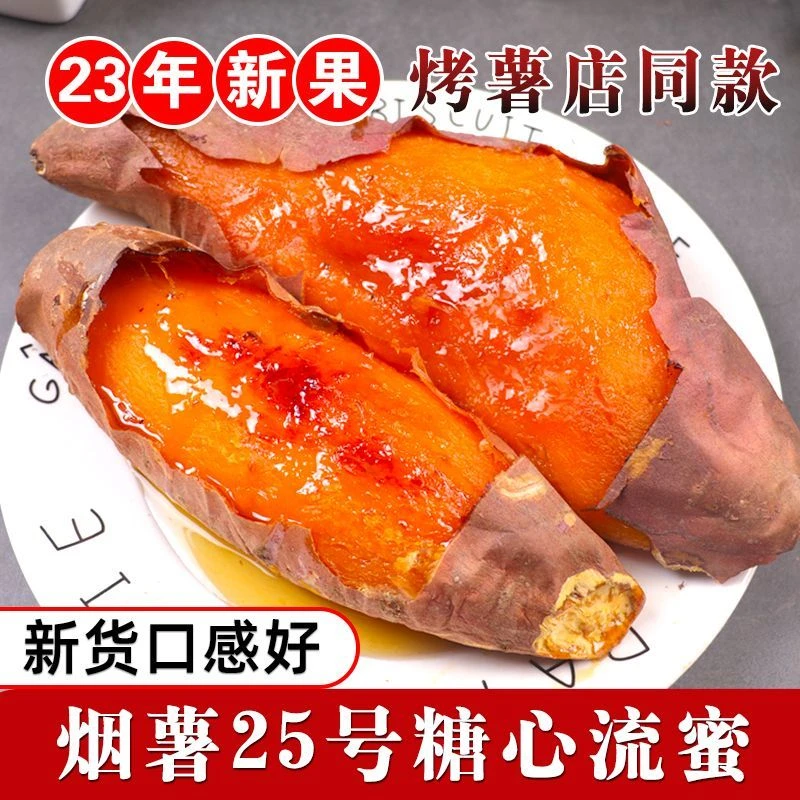农科院烟薯25号沙地红薯流油流蜜烤地瓜黄心烤山东蜜薯烤番薯山芋