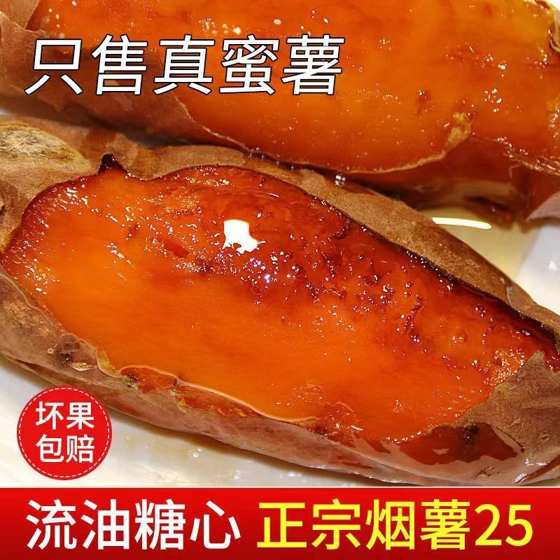 山东烟薯25号蜜薯糖心红薯香甜饱满新鲜金黄番薯烤地瓜蜜甜5斤9斤