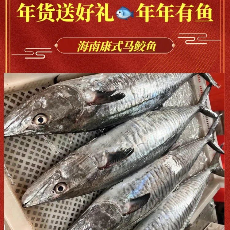 礼盒装【康氏马鲛鱼】海南七洲列岛深海捕捞  取中段切片真空
