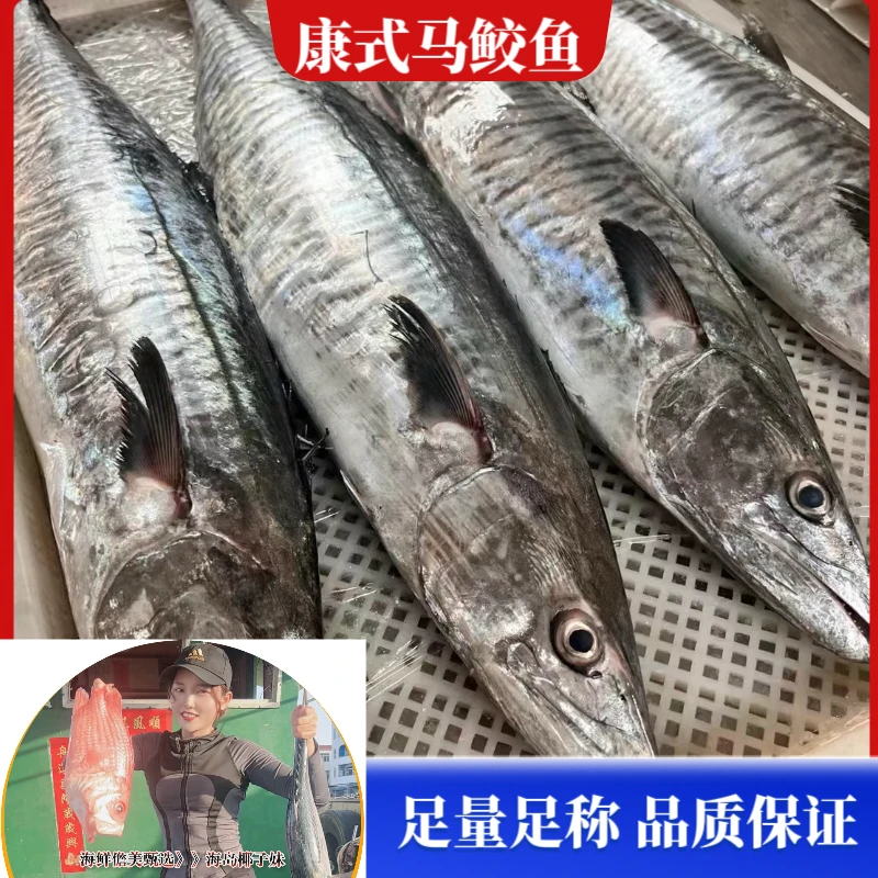 7斤正宗【康氏马鲛鱼】海南深海捕捞 直播现秤