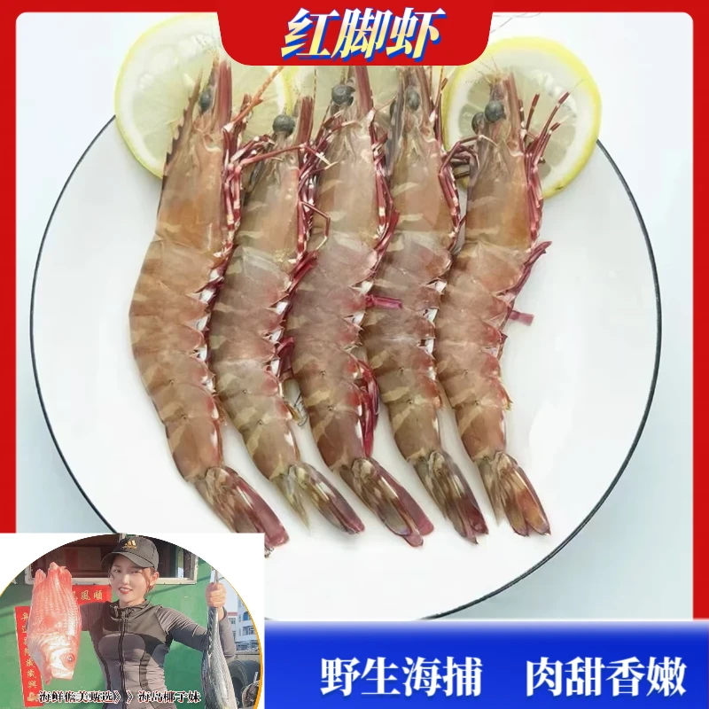 【红脚虾】海南渔民大海新鲜捕捞野生 肉质香甜真空包装锁鲜保存