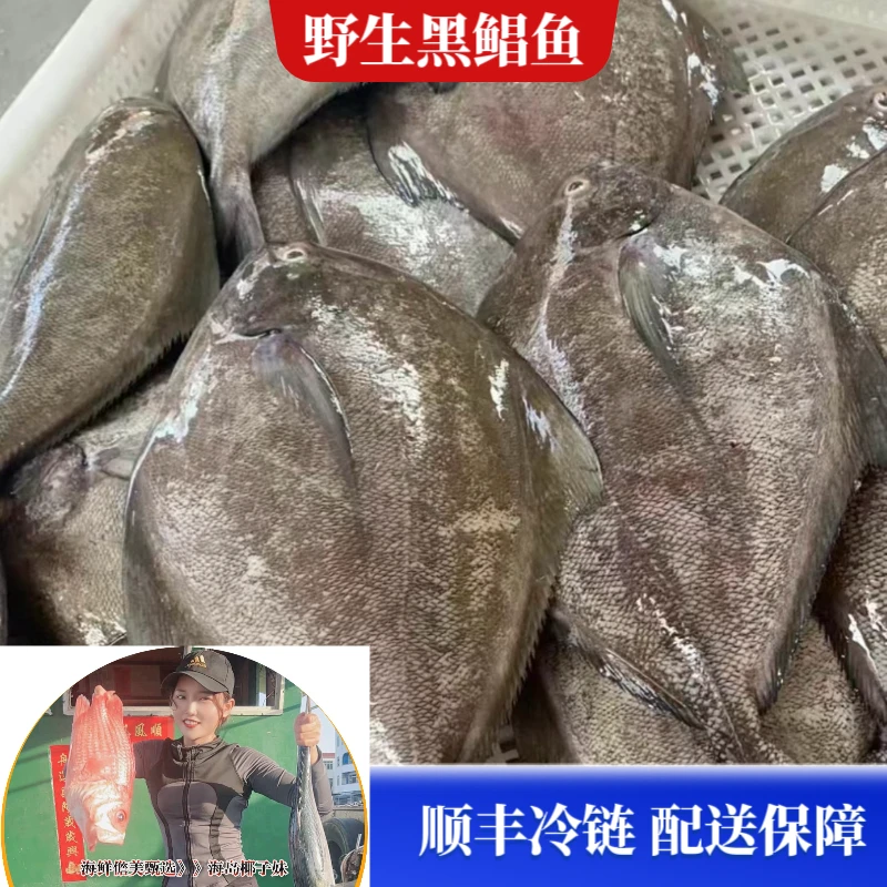 【黑鲳鱼】野生海南深海捕捞新鲜美味5斤 冷链真空包装锁鲜