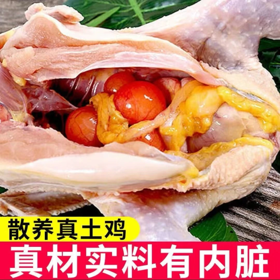 【拍一发二】散养土鸡老母鸡笨鸡溜达鸡净重4-4.5斤发货