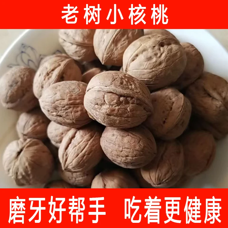 2025 新山货松鼠宠物磨牙老树小核桃厚皮核桃带壳