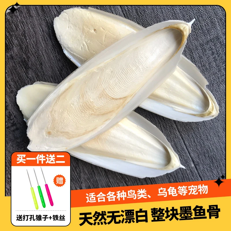 整片墨鱼骨喂鹦鹉鸽子八哥专用海螵蛸乌龟仓鼠牡丹虎皮磨嘴玩具